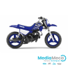 Technisch overzicht en werkplaatshandboek voor yamaha pw50 2002