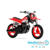 Revisión técnica y manual de taller yamaha pw 50 2003