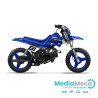 Technical review and workshop manual for yamaha pw 50 2004