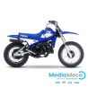 Technisch overzicht en werkplaatshandboek voor yamaha pw 80 2000