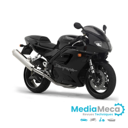 Technischer Testbericht und Werkstatthandbuch für Triumph Daytona 955i