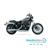 Werkstatthandbuch und technische Übersicht für Harley Davidson 883 Sportster 2013