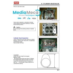 technical review and workshop manual for TGB blade 425 quads