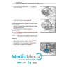 Technical review and workshop manual for audi a8, a8 limousine and s8