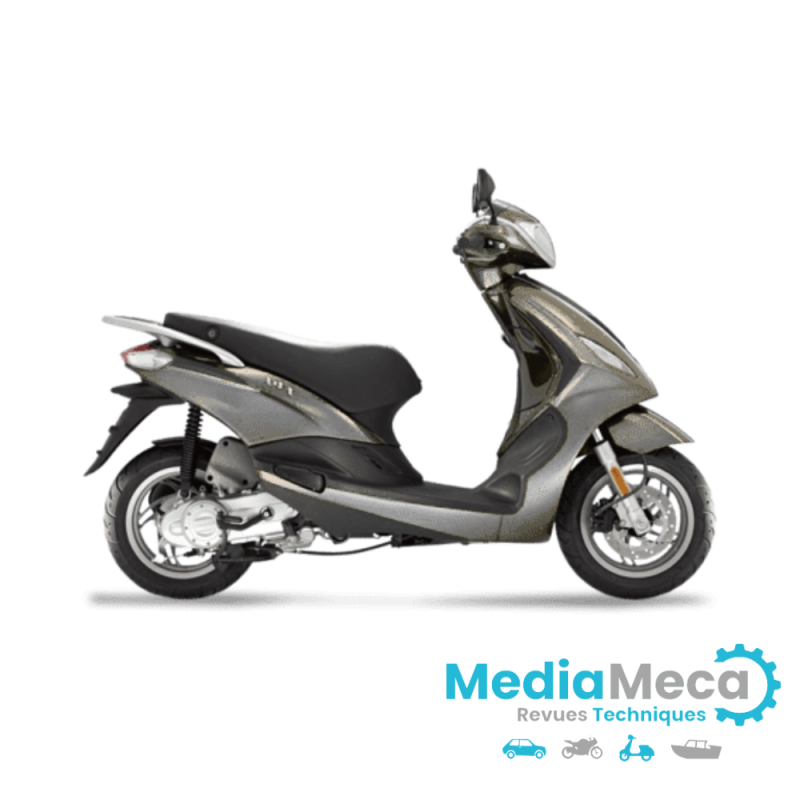Manuale officina e revisione tecnica per Piaggio Xevo 125