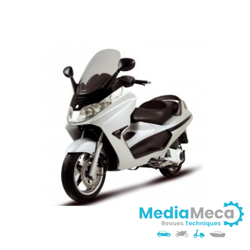 Manuel d'atelier et revue technique pour Piaggio x8 200