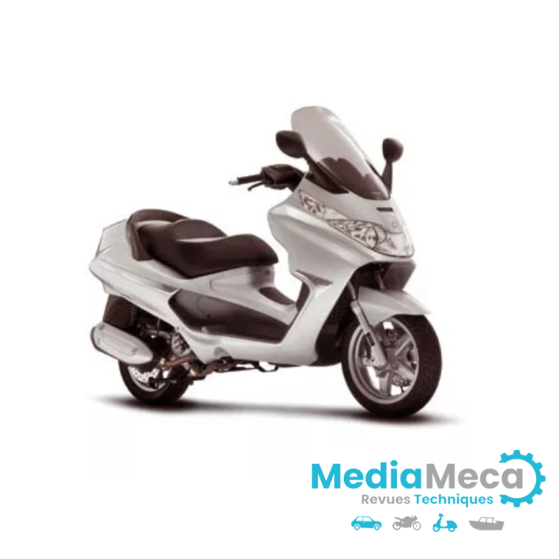 Manuale officina e revisione tecnica per piaggio x8 125 prenium euro 3