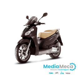 technisch overzicht en werkplaatshandboek voor Piaggio Carnaby 250ie