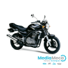 Manuale d'officina e revisione tecnica per kawasaki ER-5