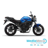 Technische Rezension und Werkstatthandbuch für Yamaha FZ6-n