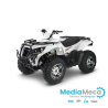 revisión técnica para quad adly 300s sporty y 300s utilitario