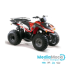 revisión técnica y manual de taller quad aeon sporty 125
