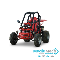 technical review and workshop manual for buggy raider max 175