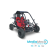 technical review and workshop manual for buggy raider pro 250