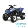 technisch overzicht en werkplaatshandboek voor e-ton vector 250 quads